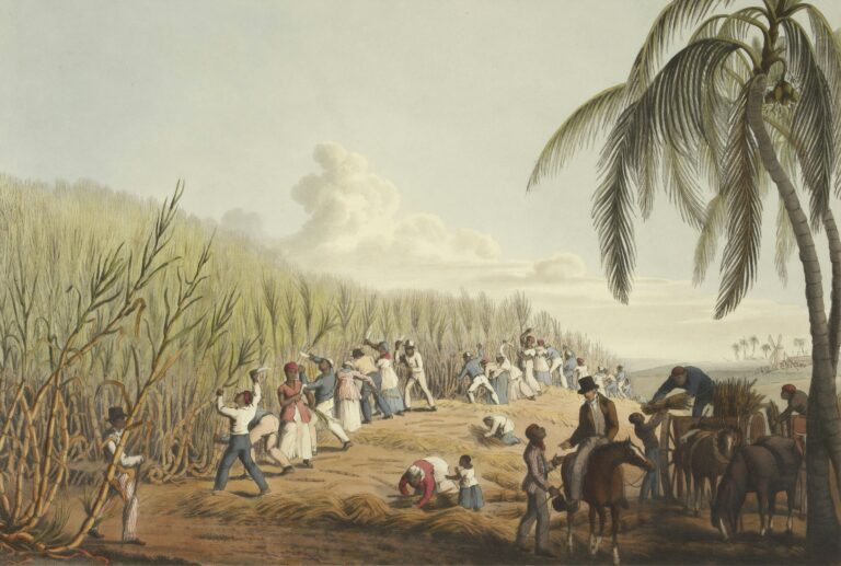 L’Histoire de l’Île de la Réunion : Des Origines à Aujourd’hui