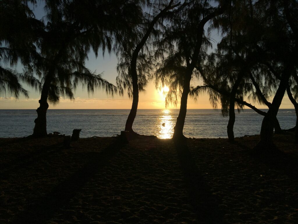 photo d'un couché de soleil sur la plage